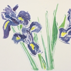 Irises 3, 2019 monotype 28x38.5 cm